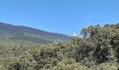 Excursión Senderismo Bédoin - La Combe de Curnier - Photo 1