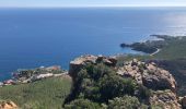 Randonnée Marche Saint-Raphaël - Autour des Pics du Cap Roux  et d'Aurelle depuis Belle Barbe - Photo 5