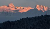 Tocht Te voet Obermaiselstein - Beslerrunde - Photo 8