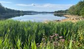 Trail Walking Montsauche-les-Settons - Tour du lac des Settons.  - Photo 11