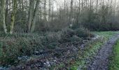 Trail Walking Camphin-en-Carembault - camphin - Photo 7
