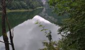 Percorso Marcia Villers-le-Lac - barrage chatelot saut du doubs le pissoux - Photo 14