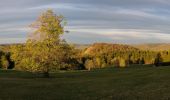 Tour Zu Fuß Ehrenberg - Reulbach Rundwanderweg 12 - Photo 7