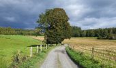 Trail Walking Houffalize - Engreux 151023 - Photo 3
