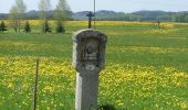 Tocht Te voet Bad Wurzach - 5-Seen-Wanderung - Photo 2