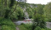 Tour Wandern Dinant - FURFFOZ ... les Aiguilles de Chaleux et la Réserve  naturelle. - Photo 4