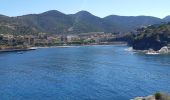 Tocht Stappen Portbou - Portbou le sentier des calanques - Photo 3