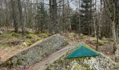 Randonnée Marche Arrentès-de-Corcieux - Champs des roches  - Photo 4