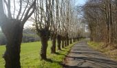 Trail Walking Saint-Pierre-des-Fleurs - 20220308-St Pierre des Fleurs - Photo 20
