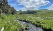 Tour Wandern Murat-le-Quaire - Borne des roches-Guéry - Photo 7