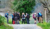 Trail Walking Carcès - SityTrail - Carces - Photo 20