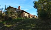 Tour Wandern Saint-Siméon-de-Bressieux - Canyon des Gueulards - Photo 6