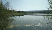 Tour Wandern Osselle-Routelle - Osselle sablière - Photo 3