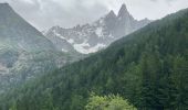 Trail Walking Chamonix-Mont-Blanc - Chamonix : Les Bois - le chapeau  - Photo 1