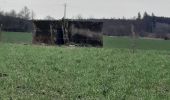 Tour Wandern Neufchâteau - marche adeps Tournay  - Photo 2