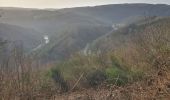 Tour Wandern La Roche-en-Ardenne - rando ornitho warempage 24/02/2021 - Photo 16