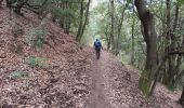 Trail Walking Tanneron - Les Mimosas-Tanneron-13-01-2023 - Photo 7