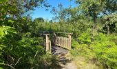 Tour Wandern Pontenx-les-Forges - PONTENX REALISÉ - Photo 2