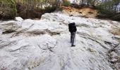 Tour Wandern Saou - Forêt de Saoù - Saint-Médard - Photo 8