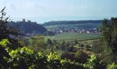 Randonnée A pied Eppingen - KR1 Weinwanderung am Heuchelberg - Photo 2