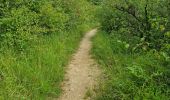 Trail Walking Cheptainville - Forêt Régionale de Cheptainville  - Photo 11