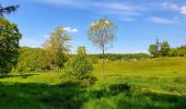 Tour Wandern Wanze - Balade de Moha à Huccorgne - Photo 10