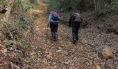 Tocht Stappen Mandelieu-la-Napoule - Esterel forestiere  - Photo 2