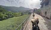 Tocht Paardrijden Valle de Hecho - Siresa - Anso  - Photo 4