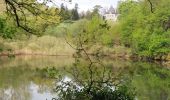 Tour Wandern Le Bono - PR_56_Pluneret_AC_07_Les-2-Rivieres_Circuit4a_20250414 - Photo 14