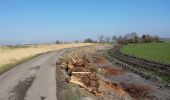 Excursión A pie De Ronde Venen - Botsholroute - Photo 10