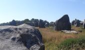 Trail On foot Carnac - Circuit des alignements - Photo 1