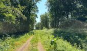 Tour Wandern Péruwelz - Bonsecours 16 km - Photo 11