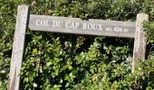 Trail Walking Saint-Raphaël - Cap Roux et grues depuis Belle-Barbe - Photo 8