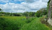 Tour Wandern Perche en Nocé - Préaux-du-Perche Nord - Photo 12