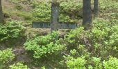 Tocht Stappen Stoumont - cour . borgoumont . moulin du ruy . andrimont . cour - Photo 6