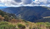 Tocht Stappen Malons-et-Elze - Serre de Barre au départ de Malons  - Photo 18