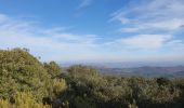 Tocht Stappen Caixas - Fontcouverte Mont-Helena Chapelle Saint-Marc Boucle - Photo 2