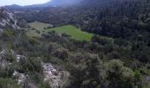 Excursión Senderismo Plan-d'Aups-Sainte-Baume - col du cros par la brasque - Photo 2