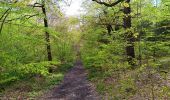 Tocht Stappen Esneux - entre Mery et bois Manant - Photo 14