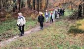 Trail Walking Fontainebleau - Butte de Franchard 17 novembre 2023 - Photo 3