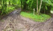 Trail Walking Gedinne - Vencimont 050624 - Photo 8
