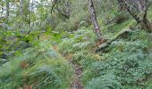 Trail Walking Bagni di Lucca - Boucle au départ de Casoli - Photo 1