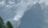 Tocht Stappen Les Houches - Chamonix :  l'aiguillette des Houches - Photo 6