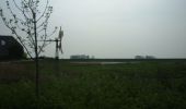 Tocht Te voet Hoeksche Waard - Gele wandelroute - Photo 3