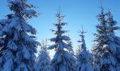 Randonnée Marche Waimes - botrange au dessus des nuages  - Photo 15