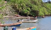 Tour Wandern Sainte-Marie - Azérot morne bataillon, pointe Martineau, pointe Lahoussaye et Cité étoile. - Photo 10