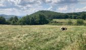 Trail Walking Cerdon - Cedron  - Photo 4