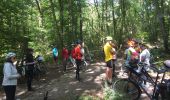 Tour Mountainbike Thomery - Canal de Loing - Photo 4