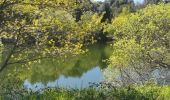 Tour Wandern Gonfaron - Plateau du Treps - Photo 18