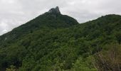 Tour Wandern Saint-Paul - dent du chat depart antenne - Photo 1